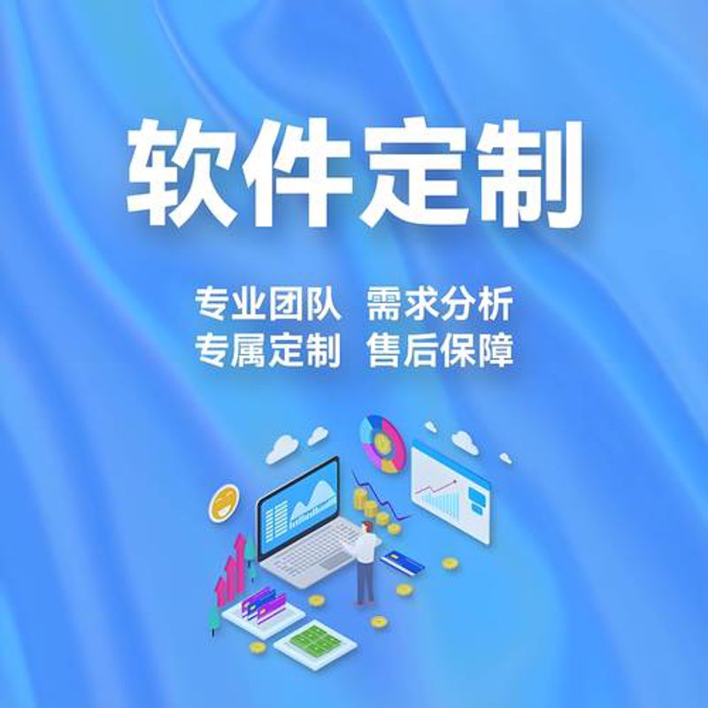 如何为企业定制高效管理软件解决方案？