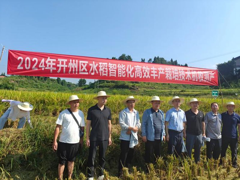 重庆开州软件开发行业的最新发展与趋势